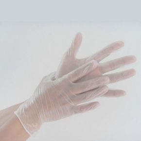 Elasticized Vinyl Gloves powder free [CLONE]